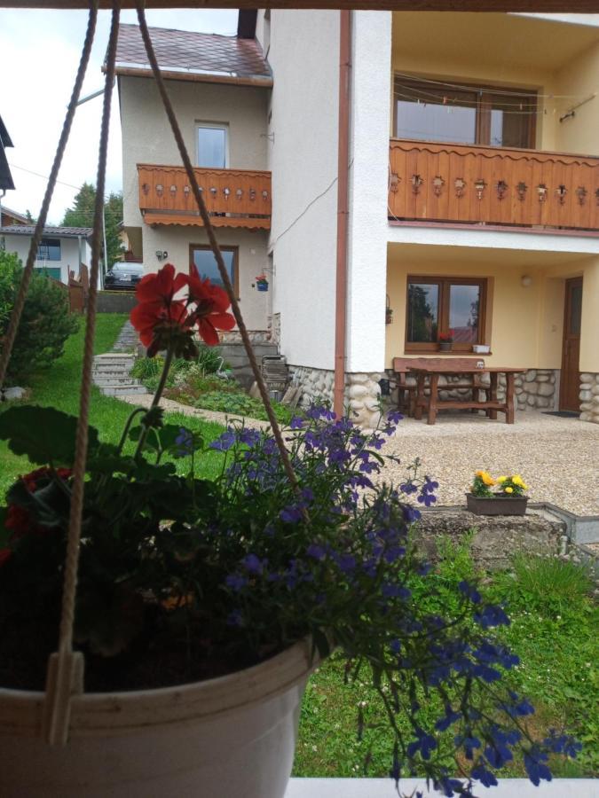 Sifra 276 Hotel Nová Lesná Exterior foto
